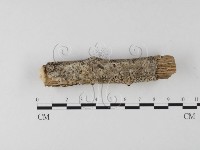 登錄號:F0020055藏品圖，第3張