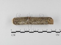登錄號:F0020055藏品圖，第4張