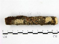 登錄號:F0020056藏品圖，第1張