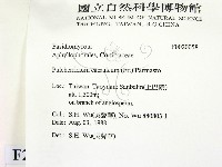 登錄號:F0020058藏品圖，第2張