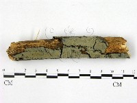 登錄號:F0020058藏品圖，第1張