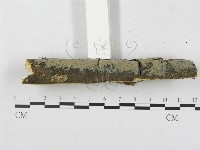 登錄號:F0020058藏品圖，第4張