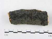 登錄號:F0020059藏品圖，第1張