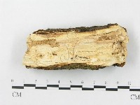 登錄號:F0020059藏品圖，第3張