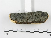 登錄號:F0020059藏品圖，第4張