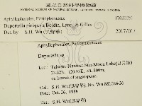 登錄號:F0020060藏品圖，第2張