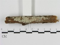 登錄號:F0020061藏品圖，第1張