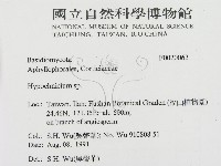 登錄號:F0020062藏品圖，第2張
