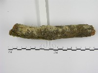 登錄號:F0020062藏品圖，第1張