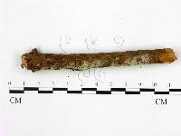 登錄號:F0020063藏品圖，第1張
