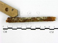 登錄號:F0020063藏品圖，第3張
