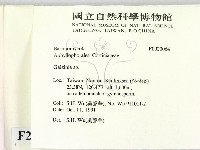 登錄號:F0020064藏品圖，第2張