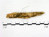 登錄號:F0020064藏品圖，第1張