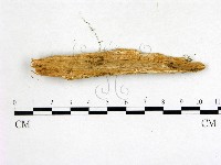 登錄號:F0020064藏品圖，第3張