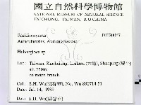 登錄號:F0020067藏品圖，第2張