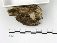 登錄號:F0020067藏品圖，第3張