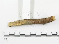 登錄號:F0020068藏品圖，第3張