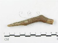 登錄號:F0020068藏品圖，第4張