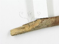 登錄號:F0020068藏品圖，第5張