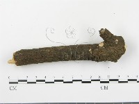 登錄號:F0020069藏品圖，第4張