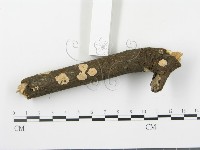 登錄號:F0020069藏品圖，第5張