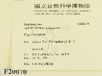 登錄號:F0020070藏品圖，第2張