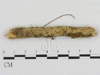 登錄號:F0020070藏品圖，第1張