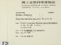 登錄號:F0020071藏品圖，第2張