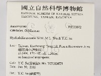登錄號:F0020072藏品圖，第2張