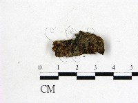 登錄號:F0020073藏品圖，第1張