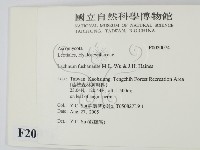 登錄號:F0020074藏品圖，第2張
