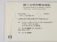 館號:F0020075藏品圖，第2張