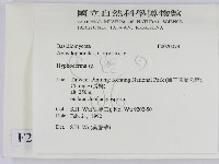 絲皮菌屬藏品圖，第2張