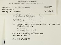 登錄號:F0020079藏品圖，第2張