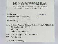 登錄號:F0020080藏品圖，第2張