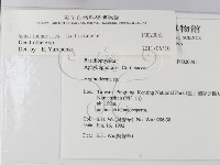 登錄號:F0020081藏品圖，第2張