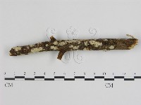 登錄號:F0020087藏品圖，第1張