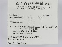 絲皮菌屬藏品圖，第2張