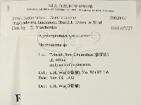 登錄號:F0020090藏品圖，第2張