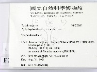 登錄號:F0020093藏品圖，第2張
