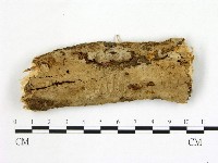 登錄號:F0020093藏品圖，第1張