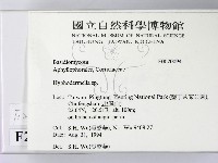 登錄號:F0020094藏品圖，第2張