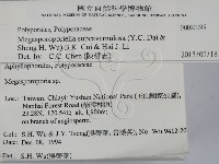 登錄號:F0020095藏品圖，第2張