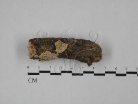 登錄號:F0020095藏品圖，第1張