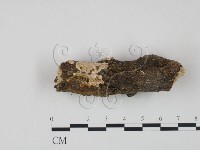 登錄號:F0020095藏品圖，第3張
