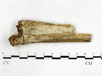 登錄號:F0020096藏品圖，第1張