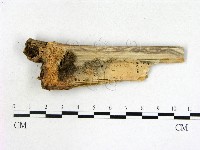 登錄號:F0020096藏品圖，第3張