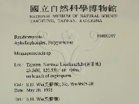 登錄號:F0020097藏品圖，第2張