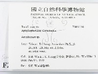 登錄號:F0020098藏品圖，第2張