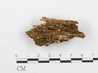 登錄號:F0020098藏品圖，第4張